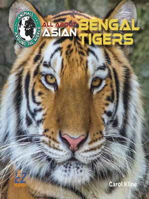 cover image of All About Asian Bengal Tigers